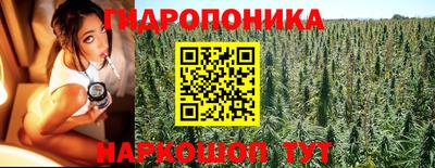 a pvp Пушкино