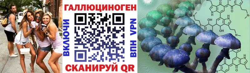 Псилоцибиновые грибы Magic Shrooms где купить наркотик Реж