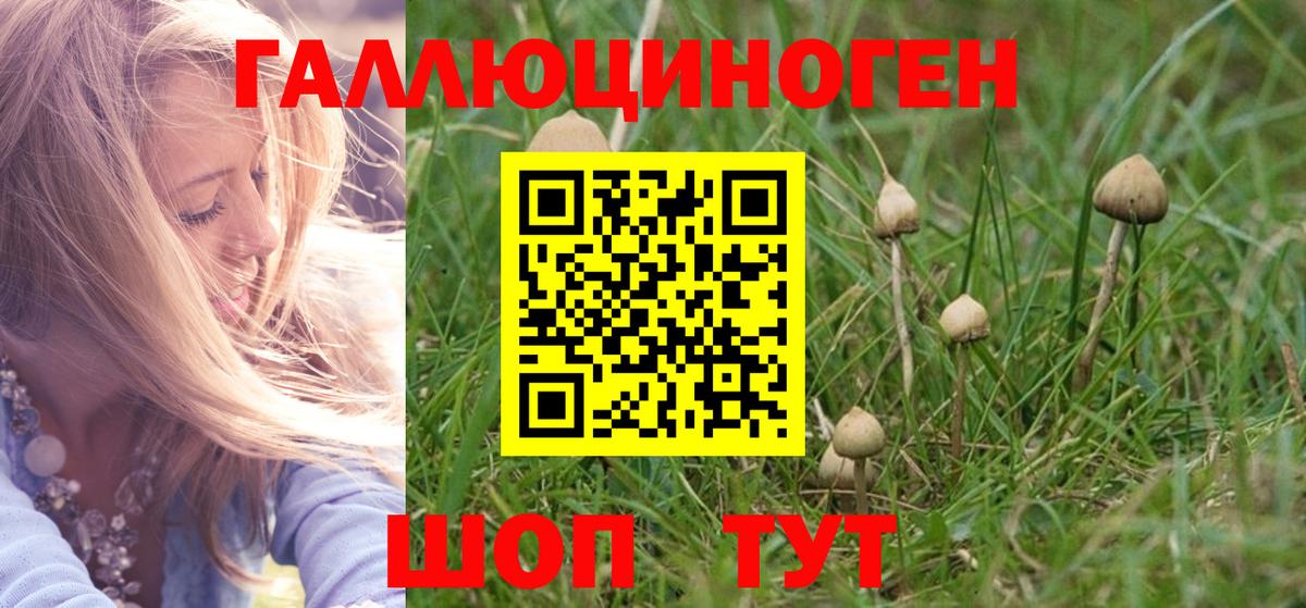Псилоцибиновые грибы MAGIC MUSHROOMS  Вход с VPN  Реж 