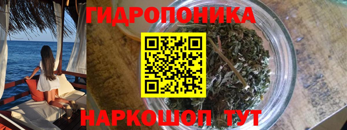 Шишки марихуана планчик Реж